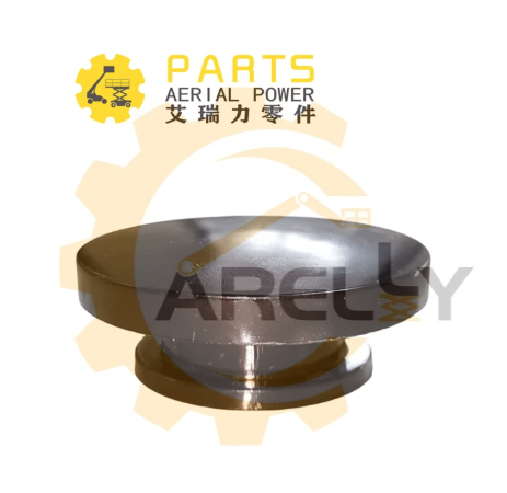 End Cover For Wheel 00775302800001020 Zoomlion